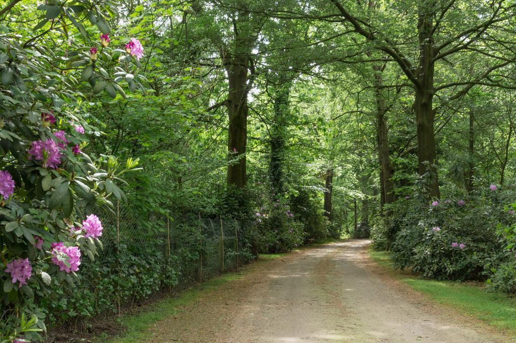 הוילה Lage Mierde Bungalowpark Vogelenzang מראה חיצוני תמונה