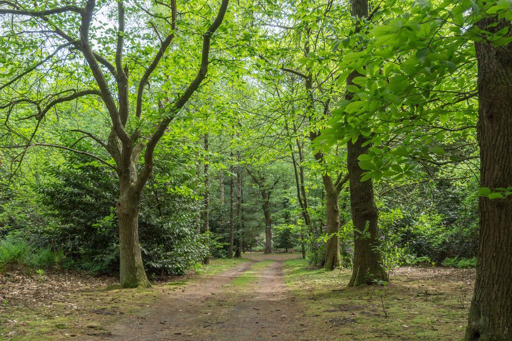 הוילה Lage Mierde Bungalowpark Vogelenzang מראה חיצוני תמונה