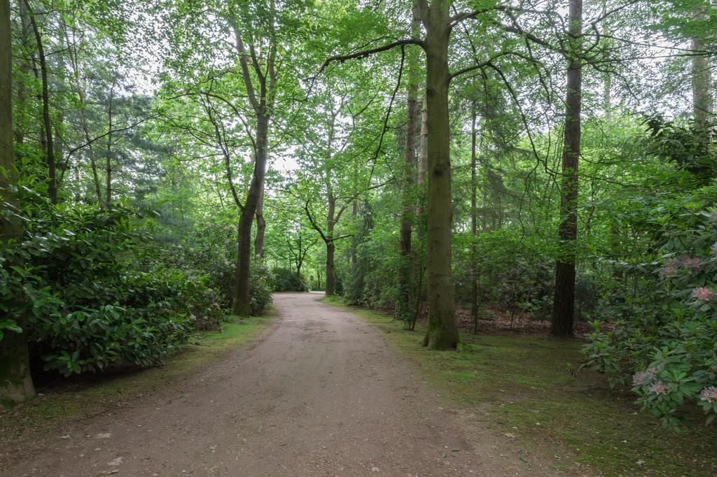 הוילה Lage Mierde Bungalowpark Vogelenzang מראה חיצוני תמונה